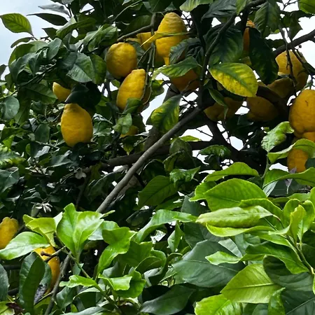 Habitación en casa particular Boutique Santuario Kunturi - Adults Only *